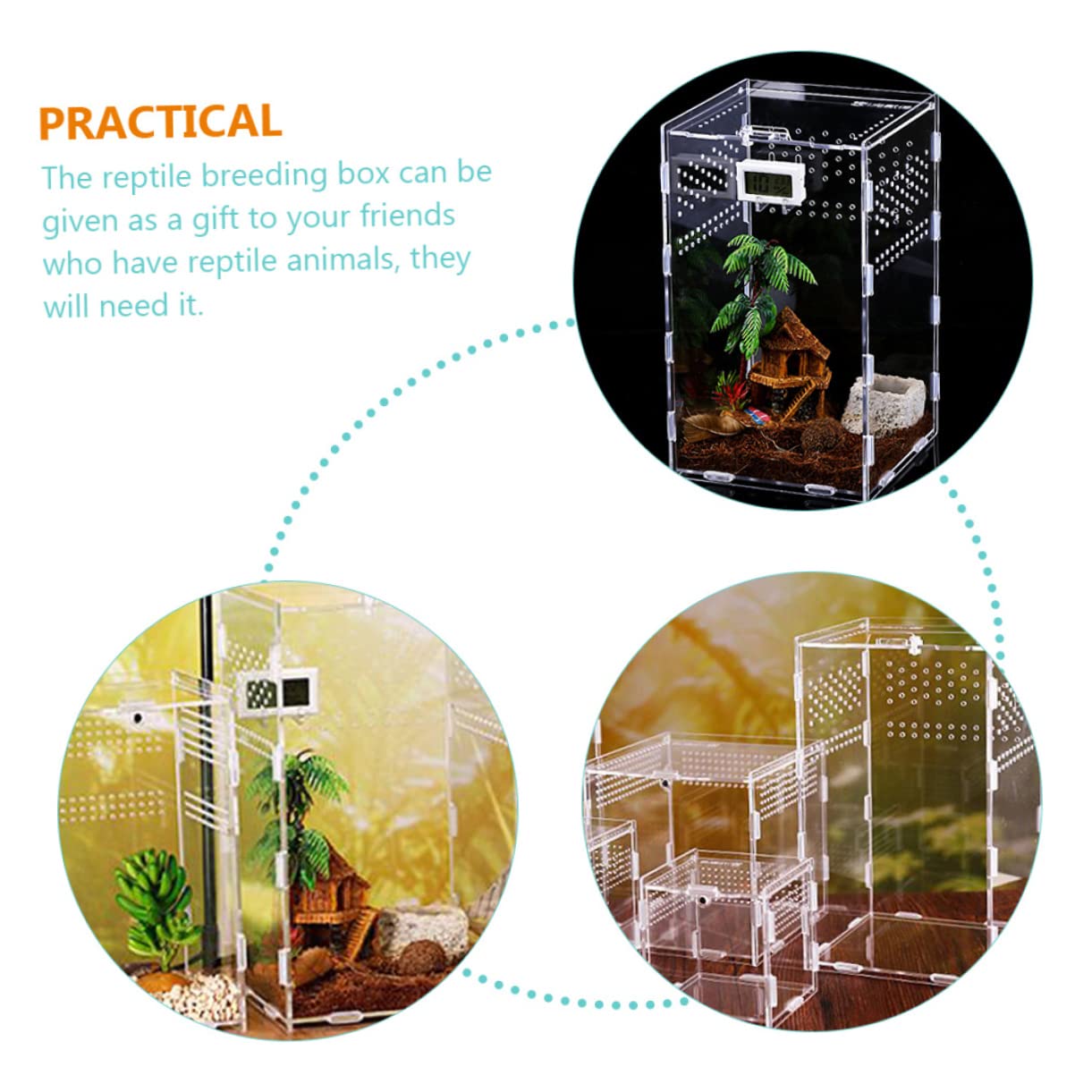 Toddmomy Contenedores Transparentes para Reptiles Cajas De Hábitat Estuches Magnéticos para Arañas y