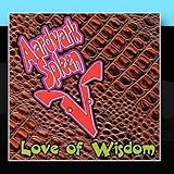 spleene freeride foil  Love of Wisdom