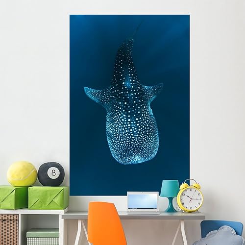 requin Baleine dans le Mural Wallmonkeys despegar y pegar Graphic wm31667