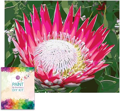 Easy Craft Paint by Number DIY Kit 50x40cm- Protea Pink Red White - Red