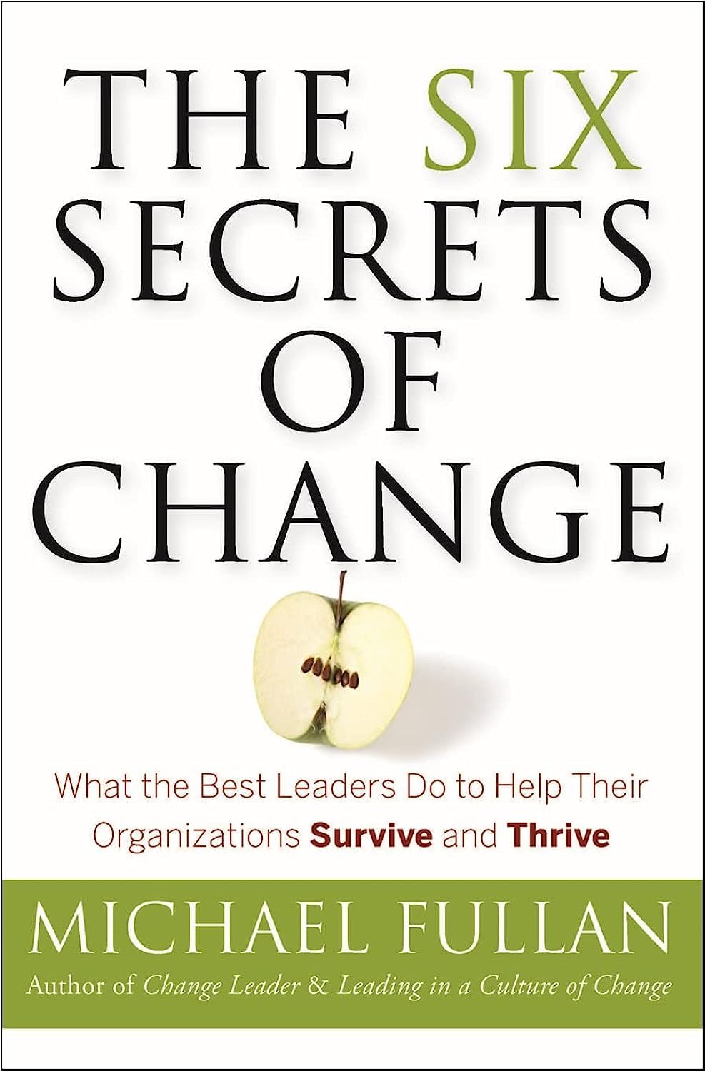 The Six Secrets of Change: What the Best Leaders Do to Help Their Organizations Survive and Thrive Paperback – November 22, 2011