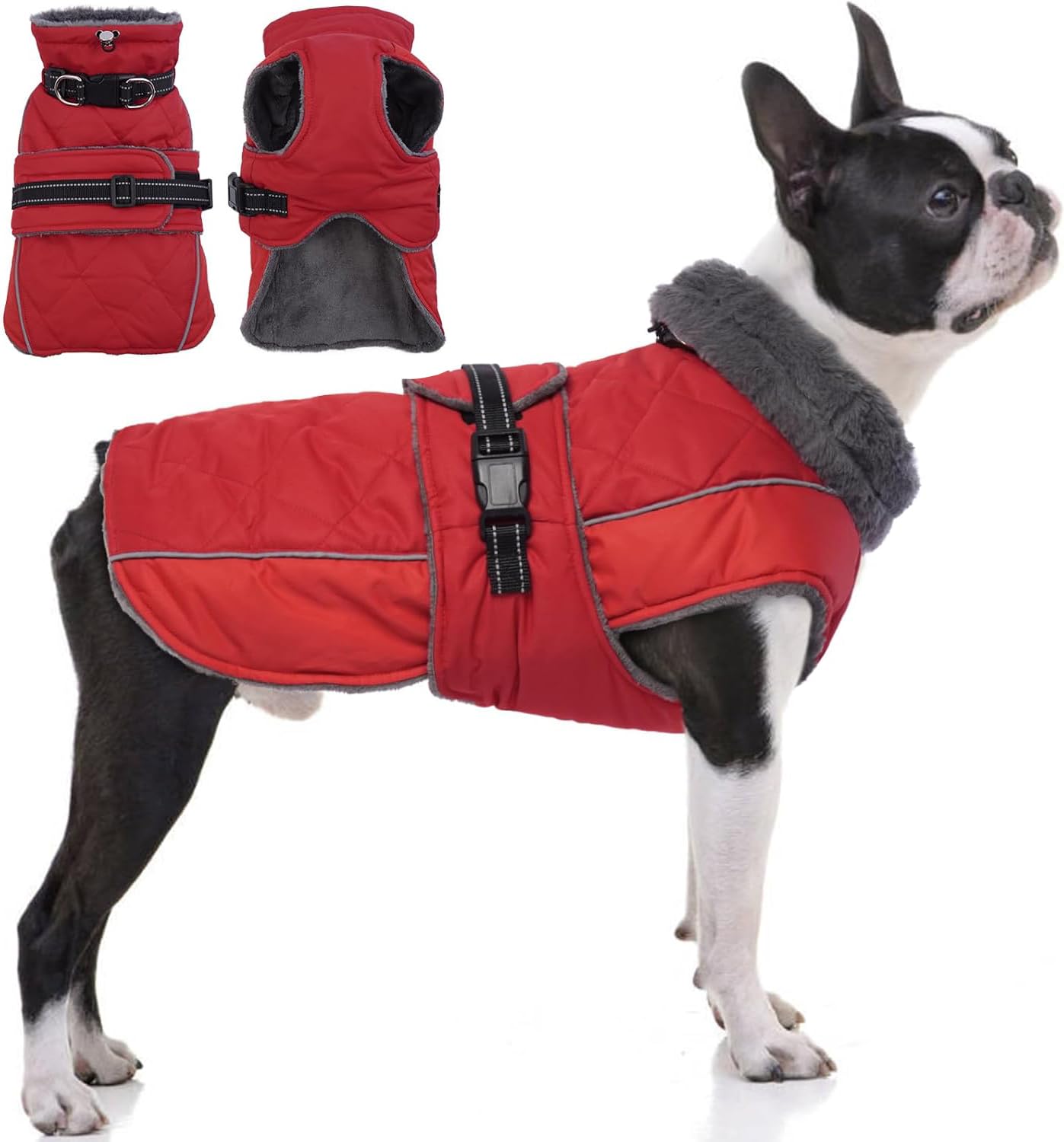 QBLEEV Warm Dog Jacket