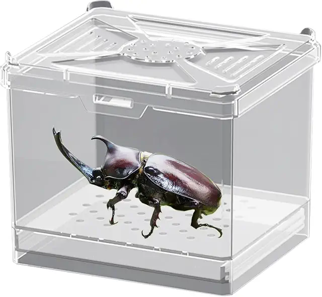 Terrario Pequeño Ventilado para Arañas y Artrópodos - Hábitat Seguro