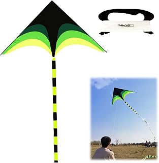 HAYGEM Modelo Verde Paquetes de Cometas Grandes Delta Apto para Niños y Adultos, lo Mejor para Principiantes Cometas para Niños, Juguetes Kite Ideal para Playas, Parques y Actividades Aire Libre