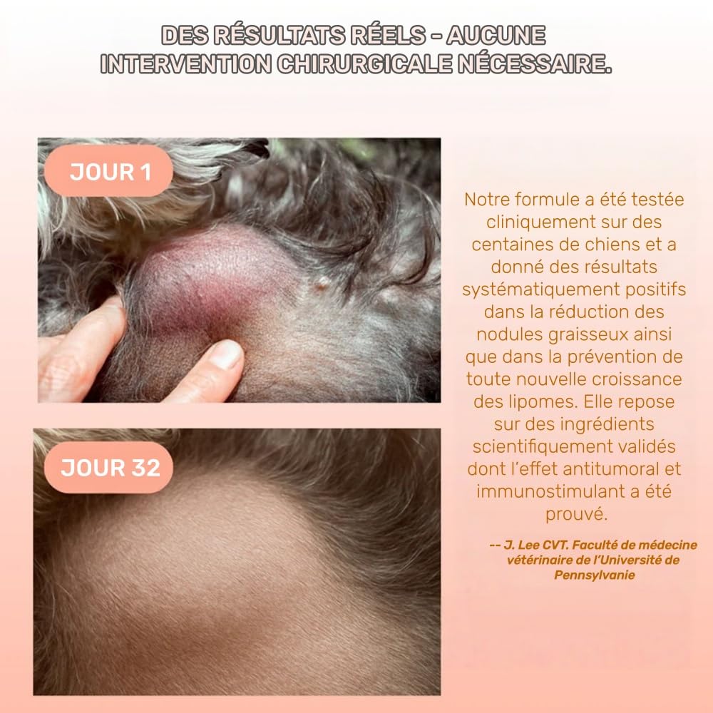 Orealift Complément Alimentaire pour Chiens Turkey Tail avec probiotiques, Soutien digestif et immunitaire, Formule élaborée par vétérinaires