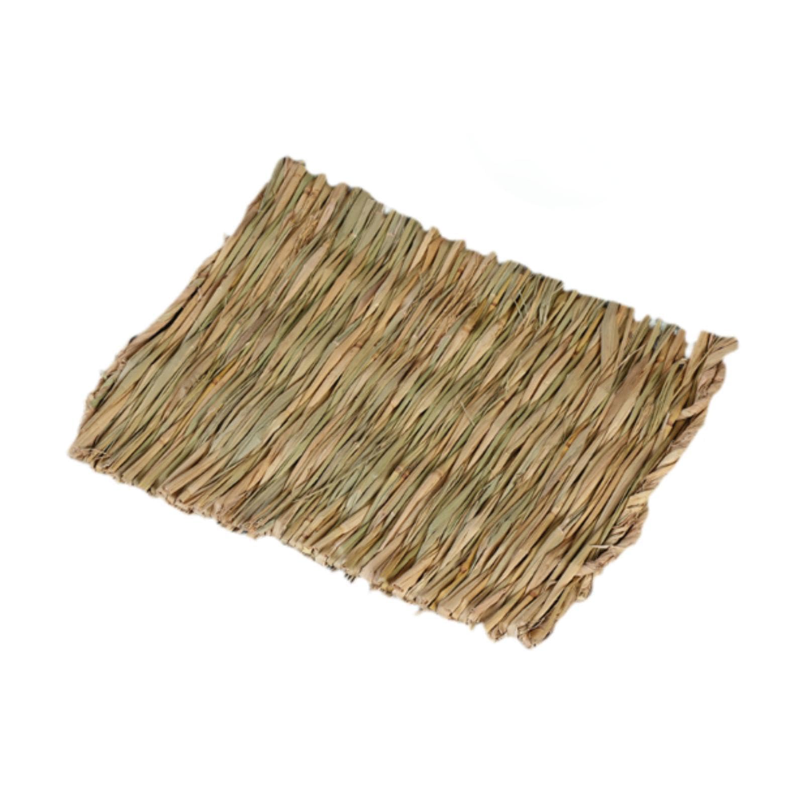 Tapis d'herbe synthétique pour hamsters stressés lot de 10 herbes