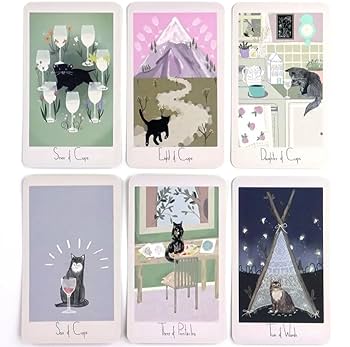 趣味・スポーツ・実用 considerate cat TAROT Amazon.co.jp: Considerate Cat Tarot マーガレットと猫の
