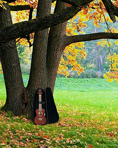 Journey Instruments UC310E Traveling Concert-Size Ukulele thumb #4
