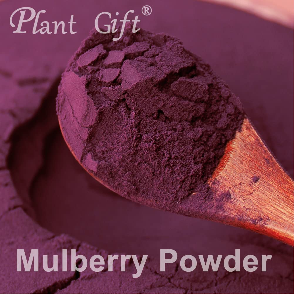 Plant Gift 100% Pure Mulberry Powder 桑葚粉 Polvo dietético natural, excelente sabor para bebidas, batidos y bebidas, polvo no GM - sin relleno, sin aditivos, yogur y más 100g / 3.25o