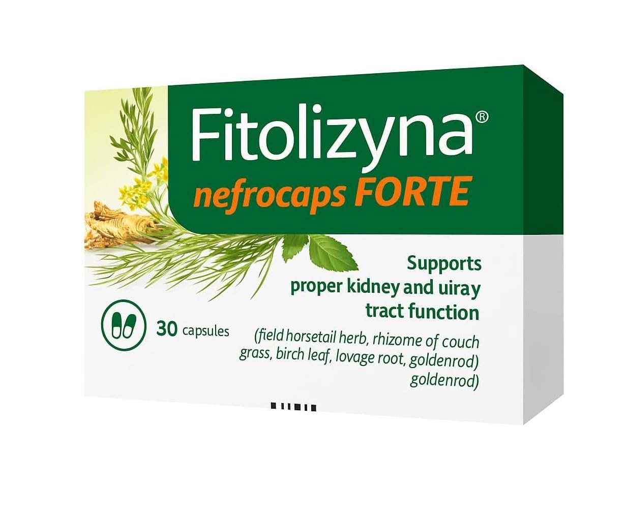 Fitolizyna – Fórmula herbal tradicional con cola de caballo, hoja de abedul y vara de oro – Mezcla botánica de hierbas – 30 unidades
