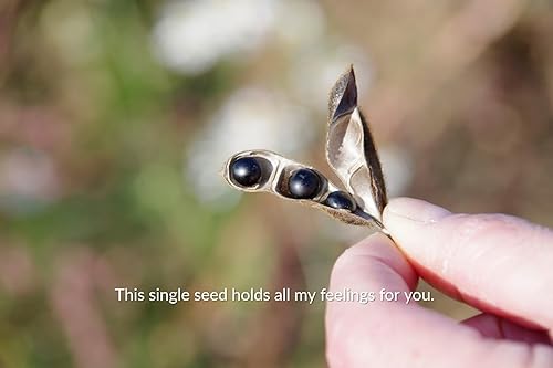 Miniatura 4 de Kurosengoku harina de soja tostada 3.5oz. Preciosa soja negra de Hokkaido, Japón. Para veganos y conscientes de la salud. Sin OMG, sin MSG, sin