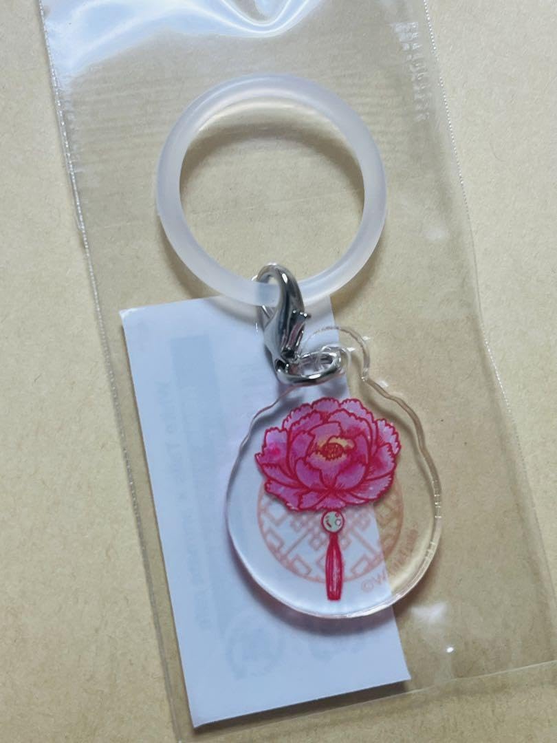 Amazon.co.jp: broooock ぶるーく ブルーク 花龍列車 ワイテルズ