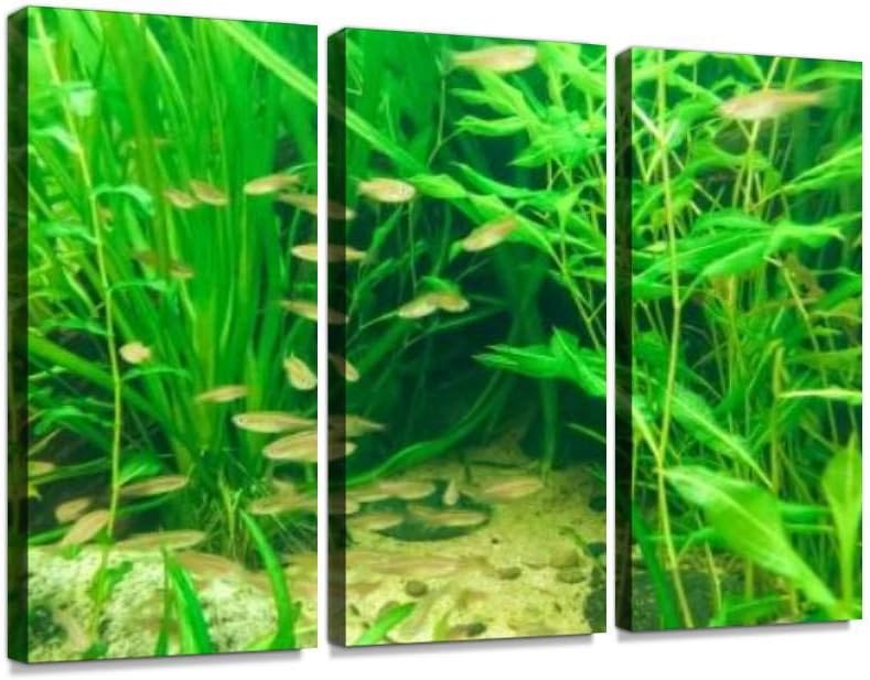 アクアリウムの魚飼育用の水槽の景色の装飾の緑の流行および普及のためのプラスチック植物の草 ファッションなデザイン