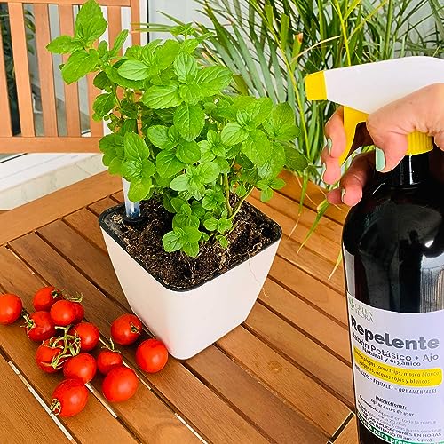 Tierra Y Fertilizantes, Home Imagen adicional