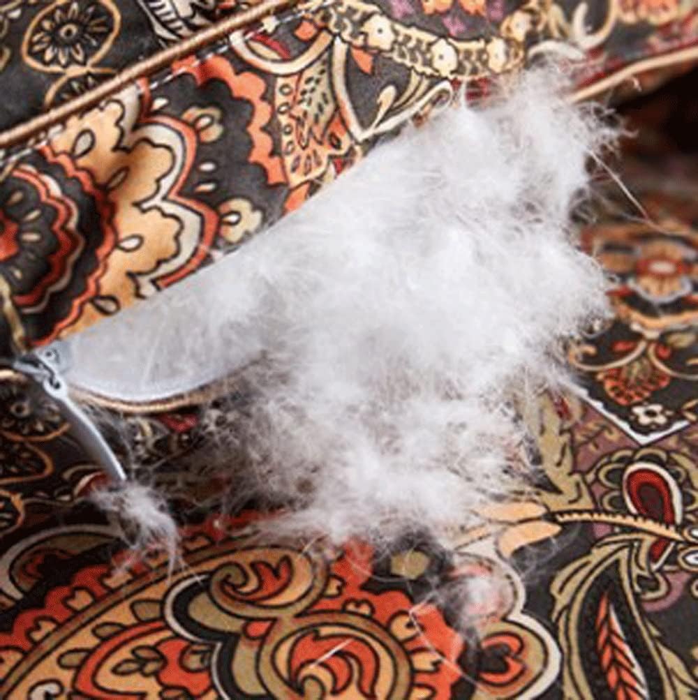 Duvet White Goose Velvet Winter Quilt Full Core Spring and Autumn Air Conditioning Warm