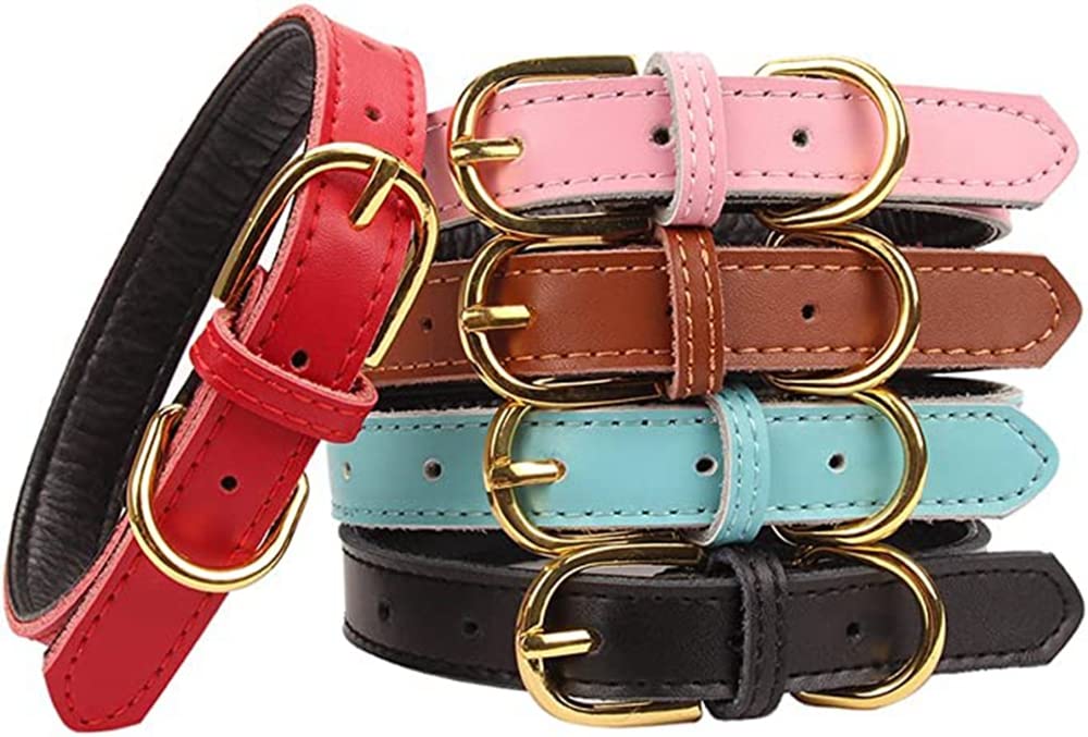 Klassisches Halsband Aus Leder Mit AirTag Für Hunde & Katzen – Verstellbar & Langlebig