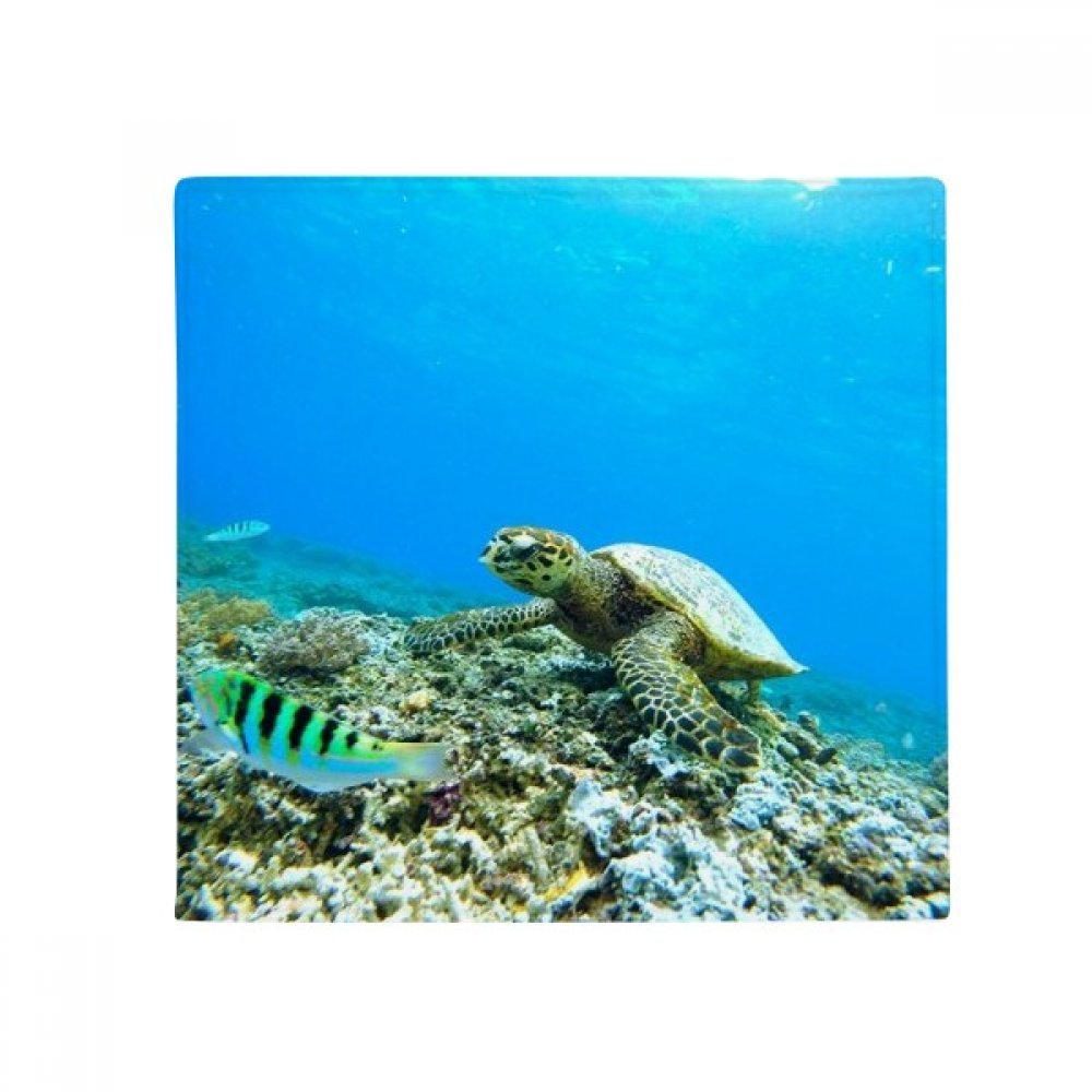 Tapis de sol rond ocean nature coloré, le cadeau idéal pour passionnés
