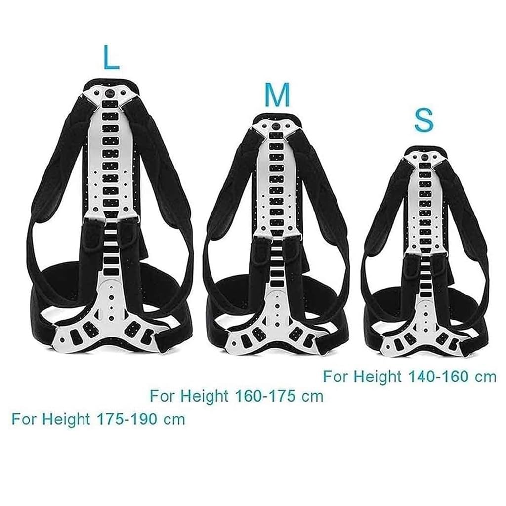 Wirbelsäulenkorrektoren Für Männer Und Frauen, Einstellbare Wirbelsäulenorthesen Für Kyphose Camelback Thoracic Support Schmerzlinderung(M)