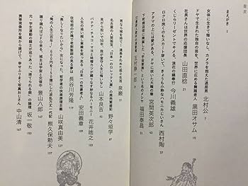 ●限定特装版 大竹 伸朗 都築響一 ローカル 珍日本紀行リミックス ローカル Roadside Japan 珍日本紀行リミックス版 : 大竹伸朗＋
