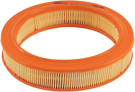 Ford Genuine Escort Mk4 Fiesta Mk3 Orion 1.0 1.1 1.3 OHV HCS Air Filter