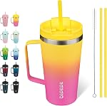 BJPKPK Tumbler isolé avec poignée, 18oz Tumbles isolés avec limon et paille, bouteilles d'eau en métal inoxydable, tasses de café, tasse, menthe