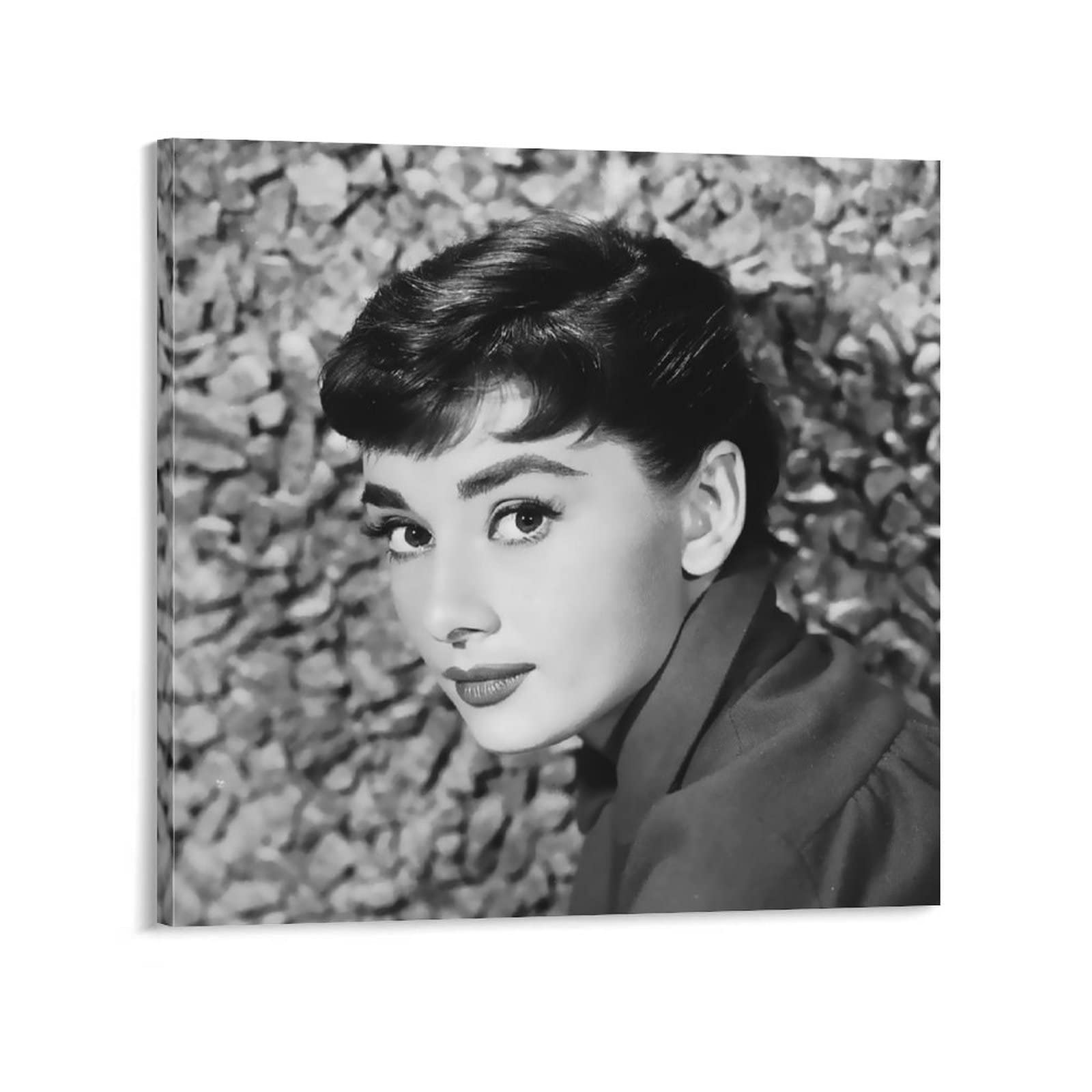 Amazon.co.jp: ポスター アートパネル オードリー・ヘップバーン