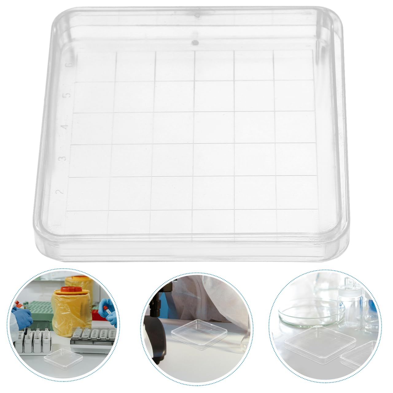 FRCOLOR Lot de 10 Boîtes de Petri en Plastique 10x10 Cm avec Couvercles Transparents pour Culture Microbiologique, Botanique et Projets Scientifiques en Laboratoire, Récipients de Culture