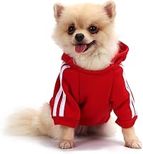QiCheng&LYS Pet Sweater, Dog Jersey, Dog Sweatshirt Clothes for Puppies, Sweatshirt for Chihuahua Comfortable and Warm (Red, Small)