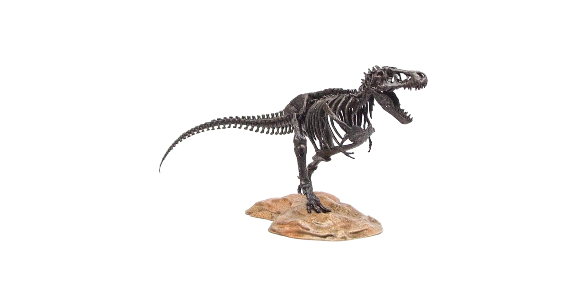 超特大 ティラノサウルス 骨格模型 フィギュア 約92cm T-REX 童友社 超特大 ティラノサウルス 骨格模型 フィギュア 約92cm T-REX