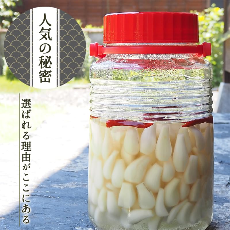 Amazon.co.jp: 鳥取県産 生らっきょう 10kg（土付き 根付き 茎付き