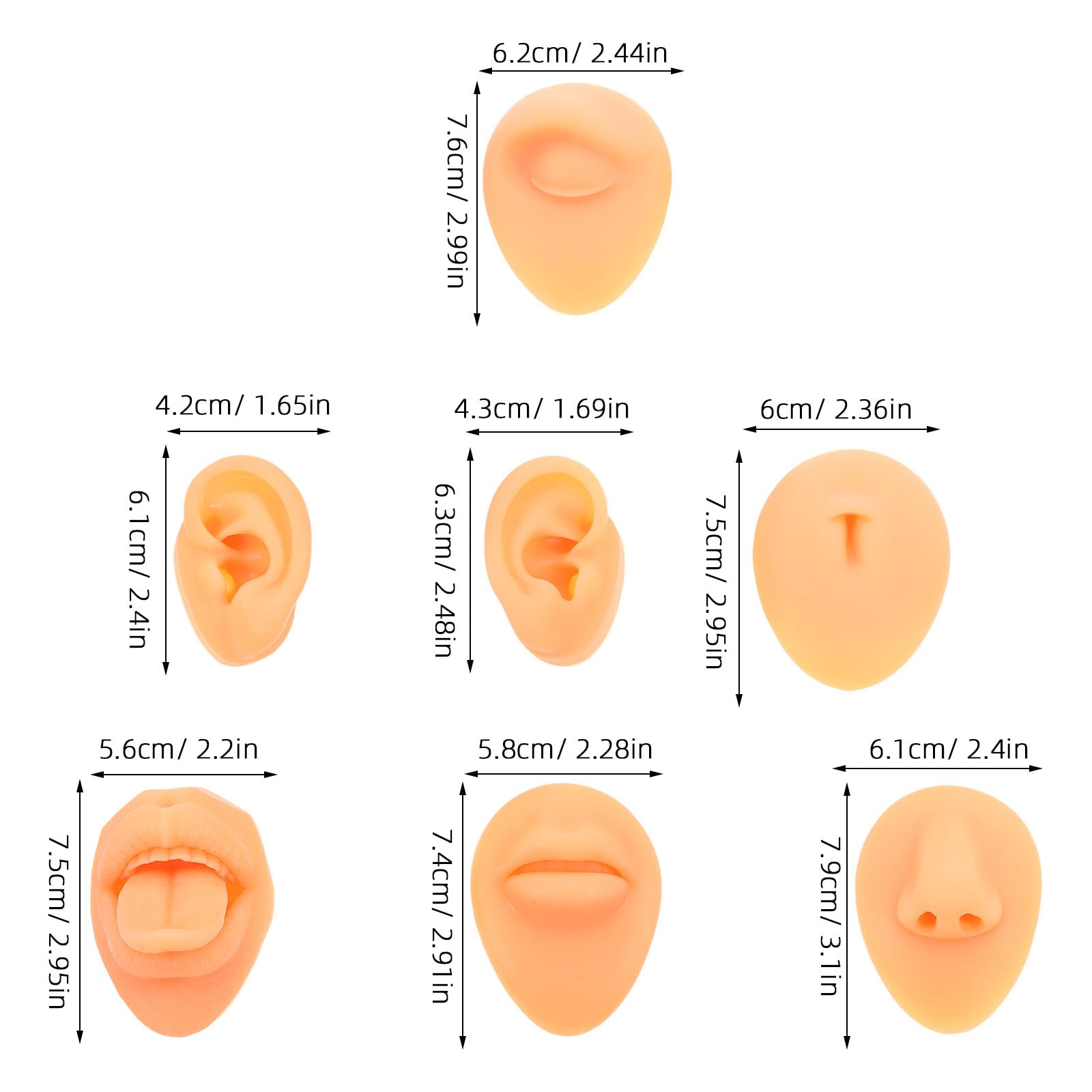Healvian Set e Uso Personale per Saloni di Bellezza Realistico in Silicone Flessibile e Facile da Pulire per Pratica Piercing Orecchie Naso Bocca e Lingua