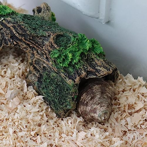 Image of Oooct Hermit Crab Climbing Toy, Aquarium Betta Fish Hideout Caves, Resin Hollow Tree Trunk Ornament, Tank or Aquarium Decorations, Climbing and Hide Toy for Reptile Lizard Newt Hermit Crab