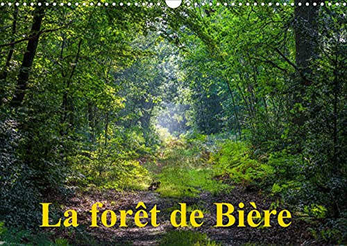 La foret de Biere (Calendrier mural 2022 DIN A3 horizontal): Paysages de la foret de Fontainebleau (Calendrier mensuel, 14 Pages