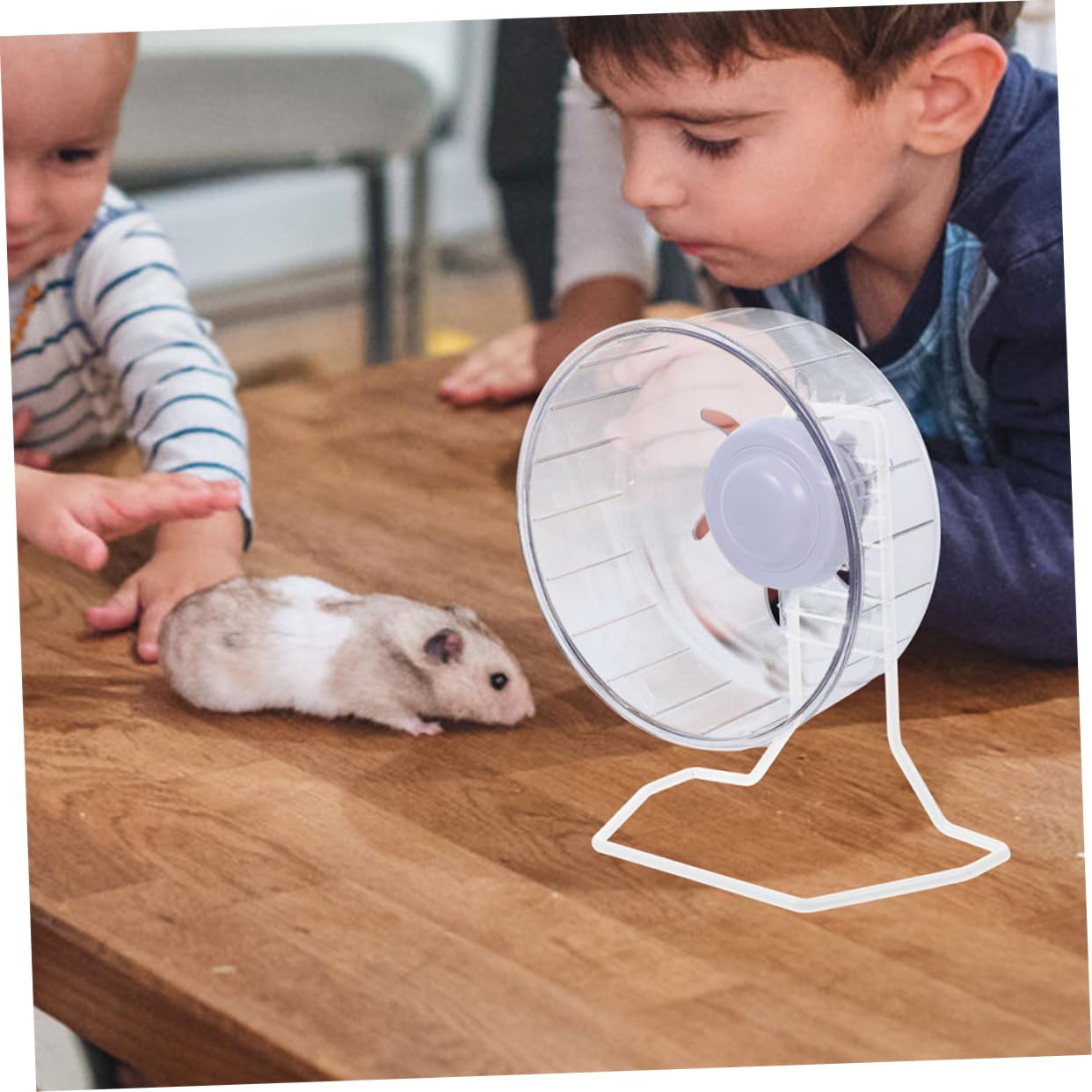 BESPORTBLE 8piezas Soporte De Rueda para Hámster De Hierro Rack Estable para Ejercicio De Mascotas Fácil Instalación y Diversión Aumentada