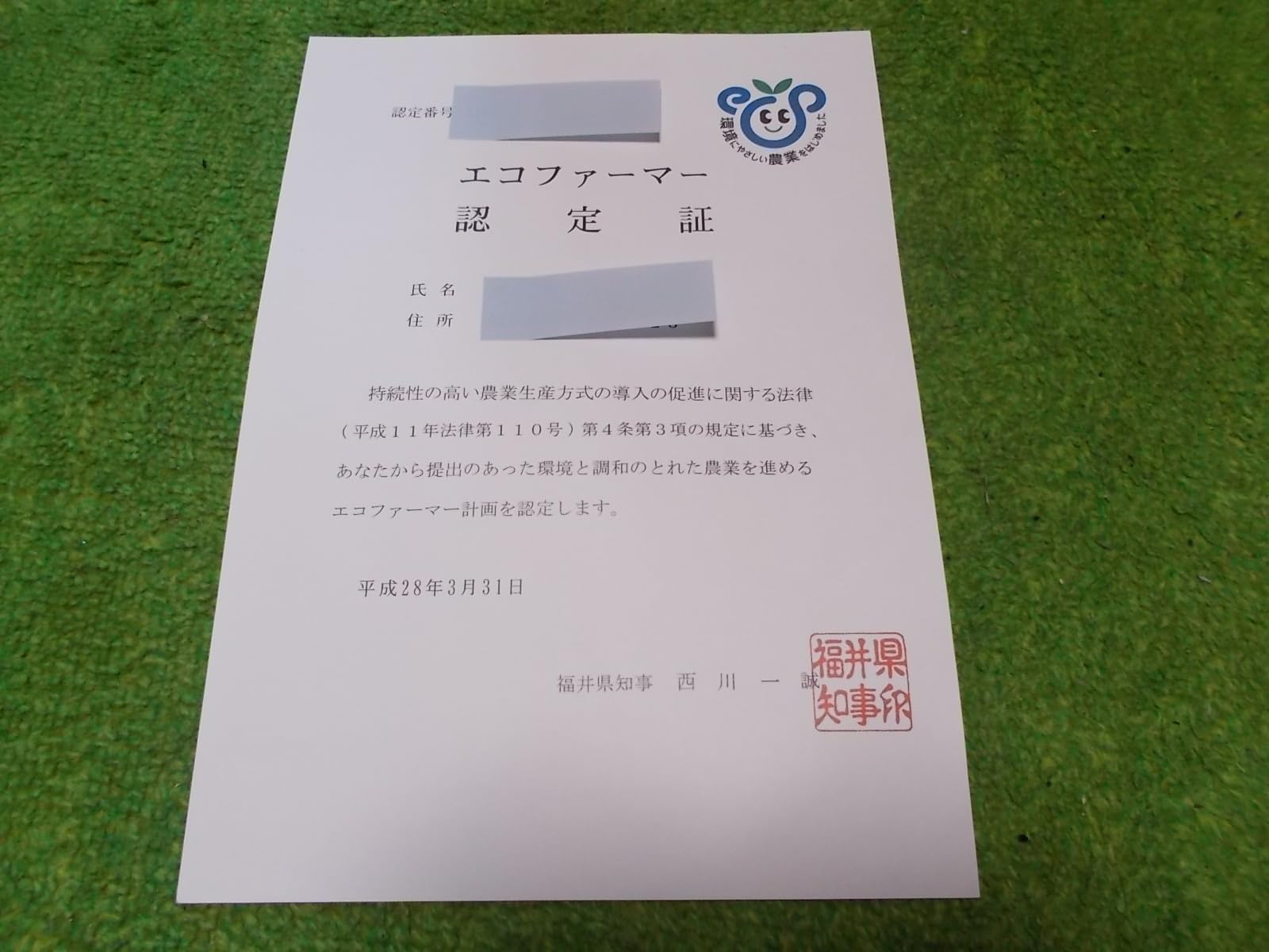 Amazon.co.jp: 令和7年産 無農薬 福井県産 1級 コシヒカリ 30kg 玄米
