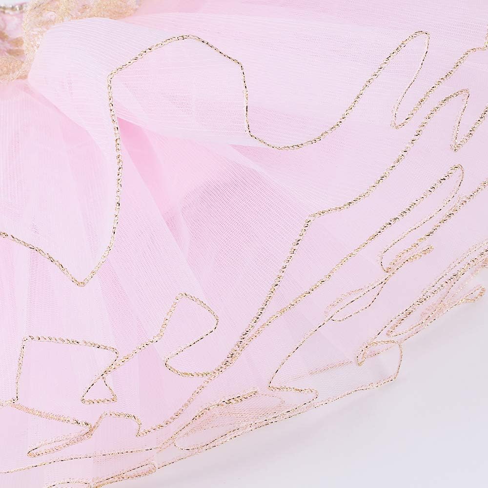Girls Skirted Leotards Ballet Dance Tutu Princess Dress Ballerina Costumes 3-8Y - Image 5