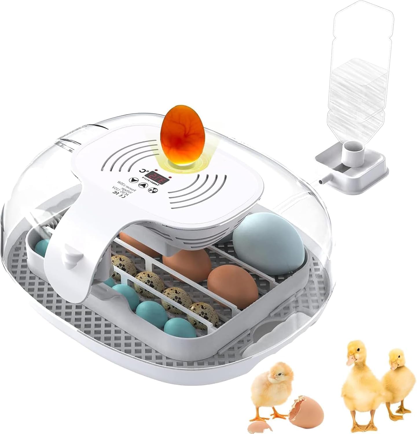 Incubadora digital de huevos para 16 huevos con volteador automático y control preciso de temperatura, incubadora de mesa para huevos de aves de corral