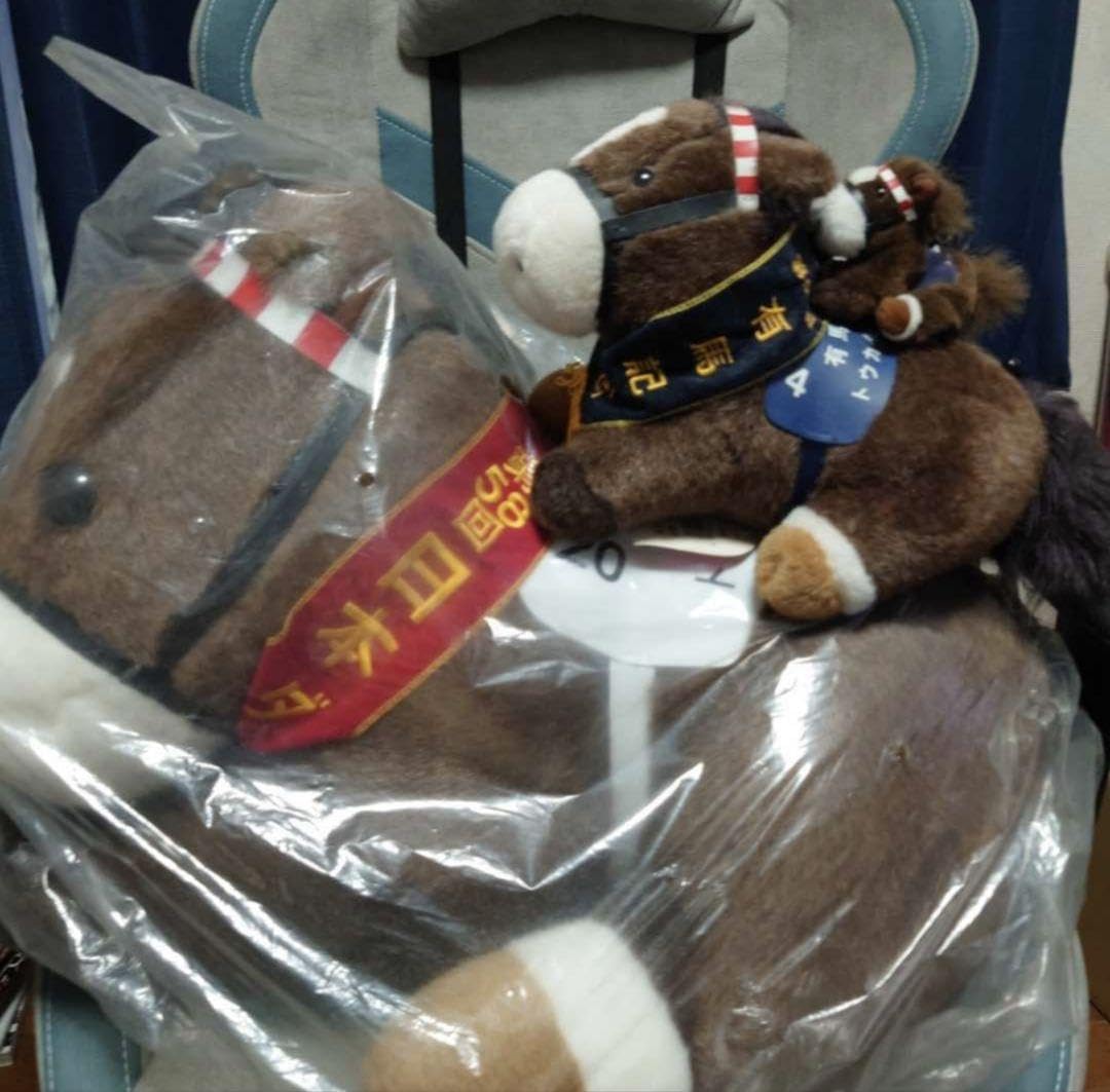 トウカイテイオー ぬいぐるみ　AVANTI　Lサイズ 美品】 AVANTI アバンティ トウカイテイオー ジャパンカップ