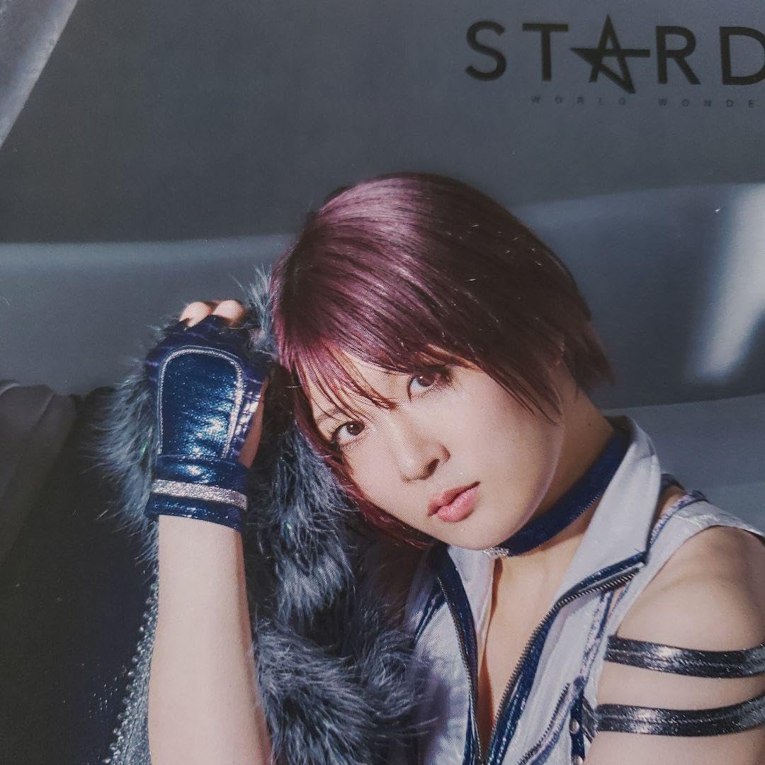 【限定品4種セット】スターダム 安納サオリ 10周年記念サイン入りポートレート 女子プロレス スターダム STARDOM 安納サオリ ポートレート 限定