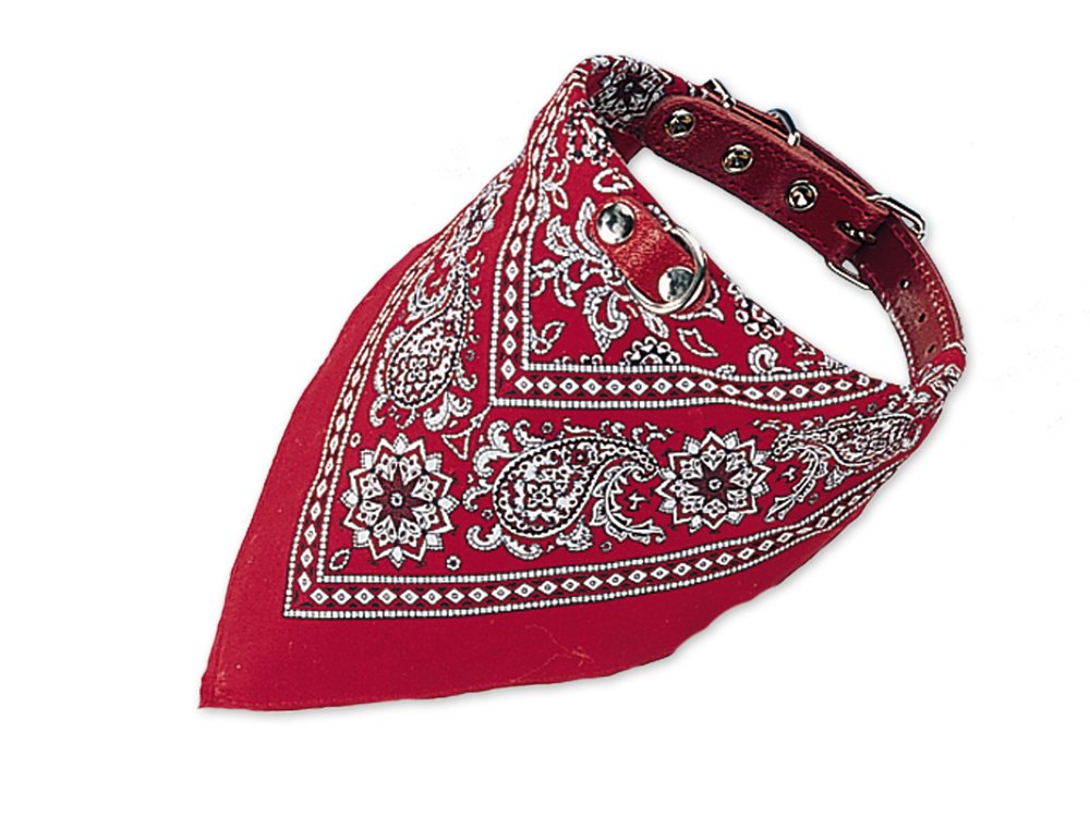 Nobby Collar with Neck Scarf, 65 cm
