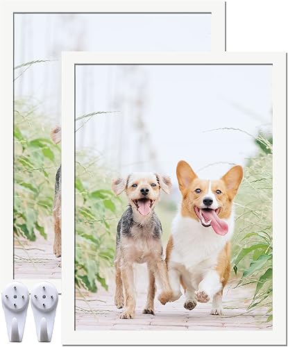 Miniatura 14 de Juego de 5 portarretratos de 18 x 24 pulgadas, marcos de fotos negros de alta transparencia para galería de pared horizontal de escritorio vertical