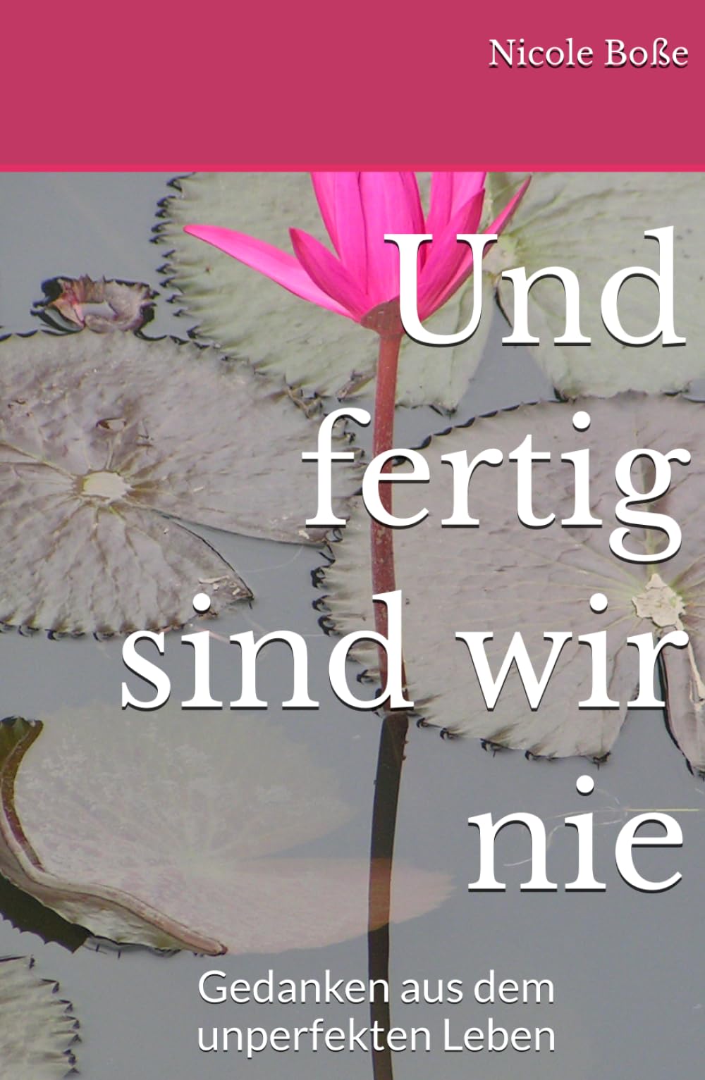 Und fertig sind wir nie: Gedanken aus dem unperfekten Leben