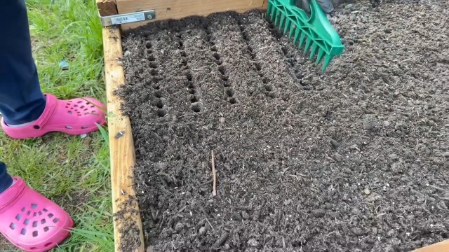 Kit de sembradora manual para jardinería de 7 piezas miniatura 7