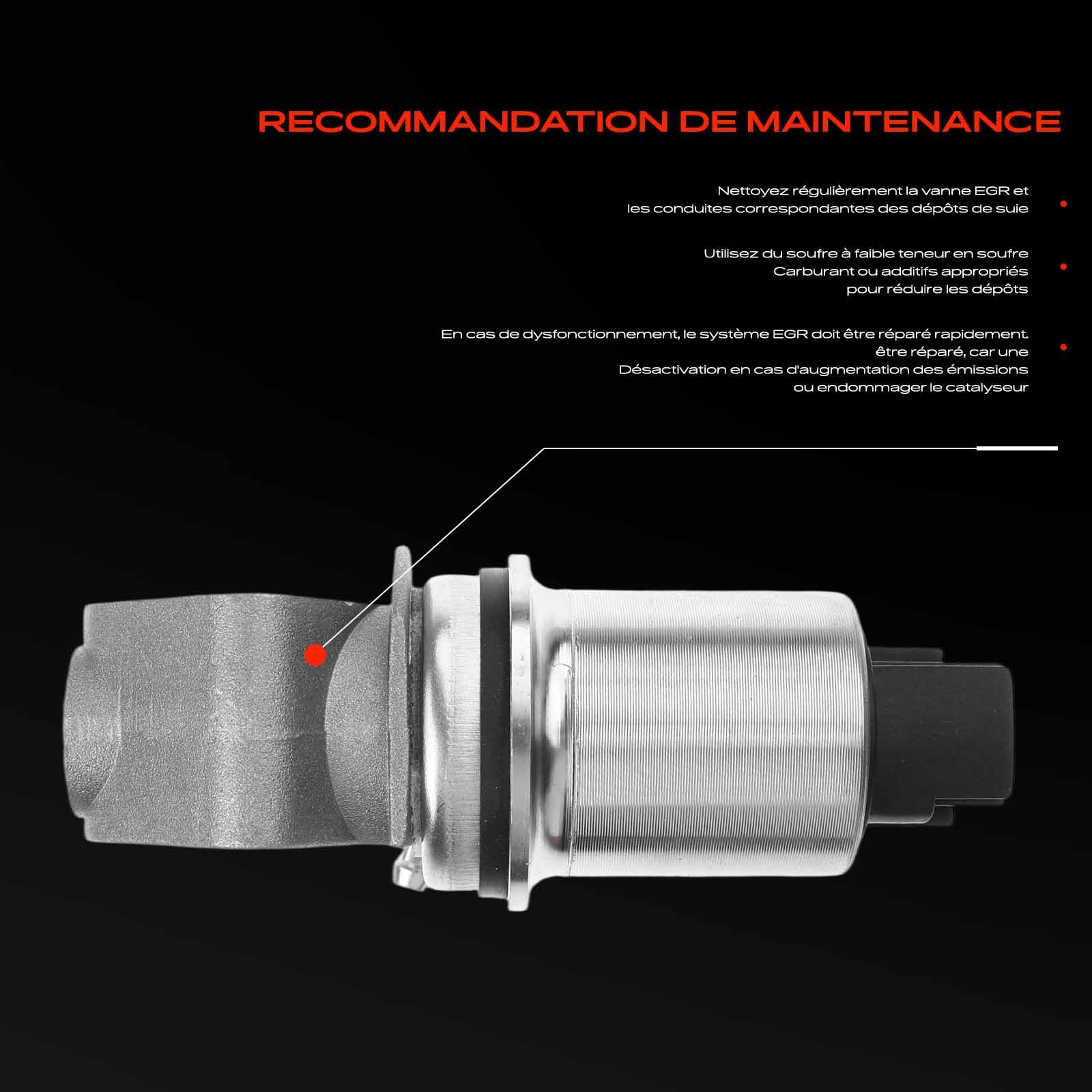 Frankberg Vanne EGR 5 broches 036131503R | Compatible avec: Golf IV Variant 1J5, Golf Plus 521 5M1, O.c.t.a.v.i.a II 1Z3, C.a.d.d.y II MPV 9K9B