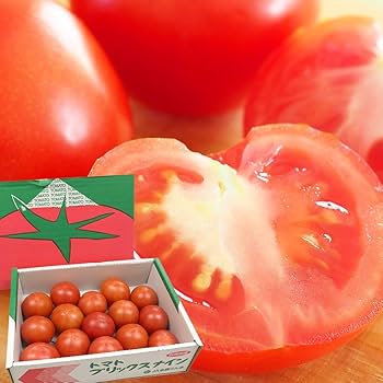 トマト 群馬県産 ブリックスナイン 5箱 フルーツトマト フルーツトマト