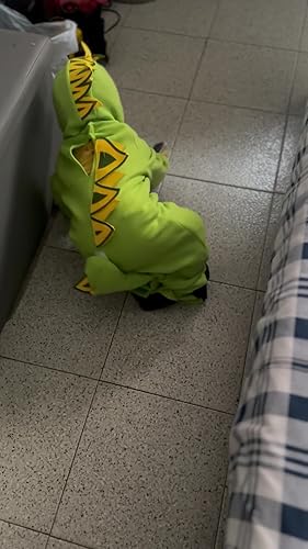 My Other Me Déguisement De Coccinelle Unisexe Avec Bonnet Et Robe à