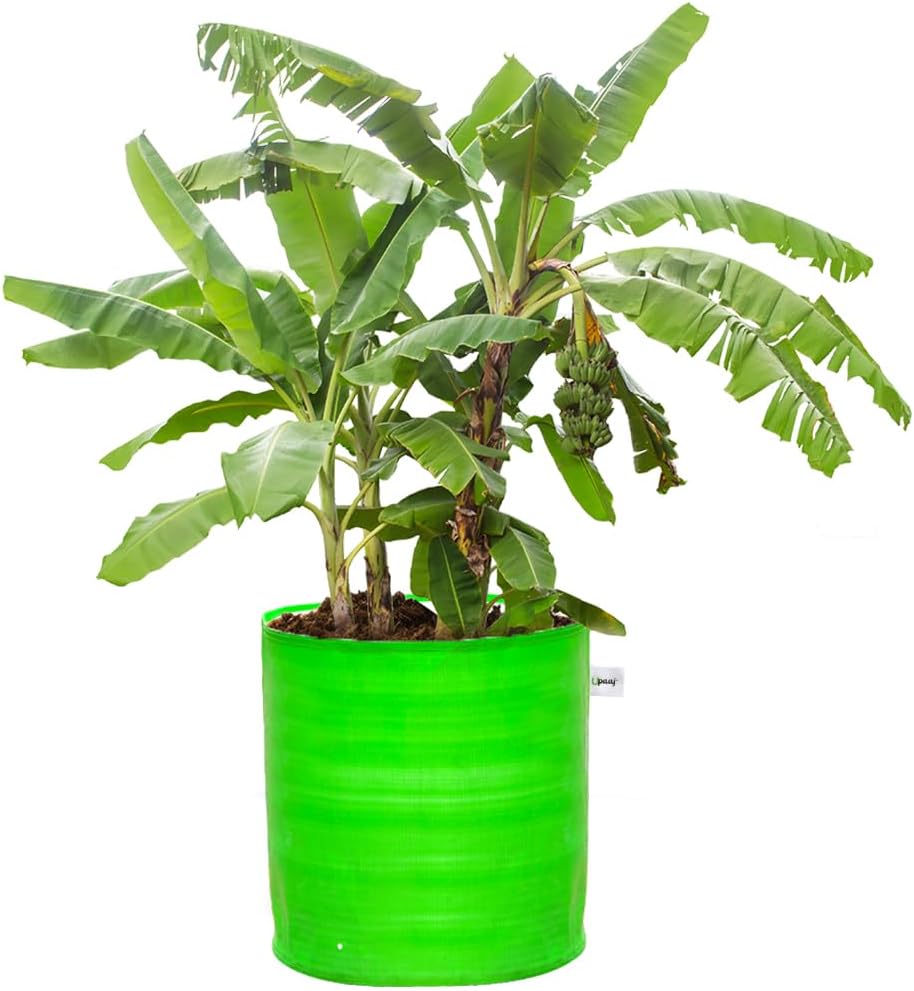 UPAAJ Premium Grow Bags 24x24 inch | hdpe Grow Bags 260 GSM Round Green Colour Plant Grow Bag | Gardening Bags Suitable for Terrace Garden Setup | Growing Bags for Gardening | growbag Pack of 1
