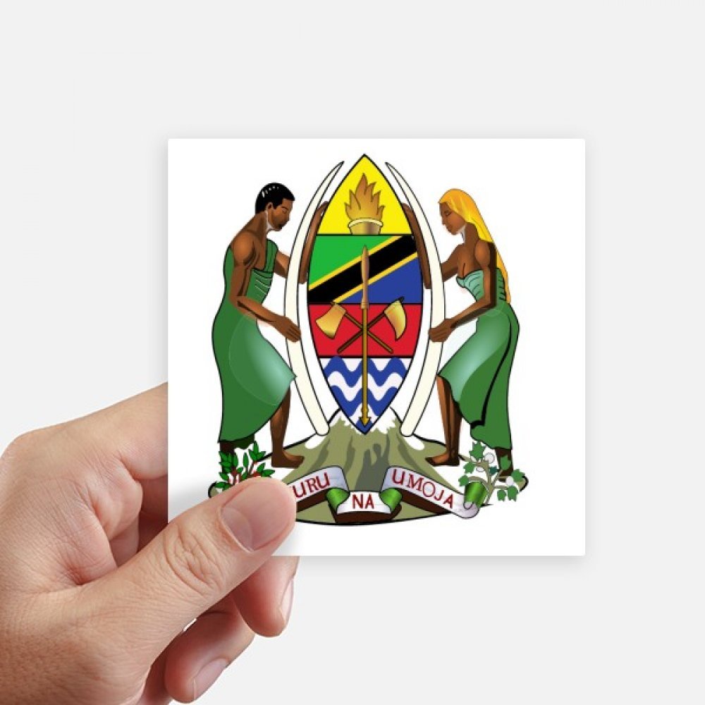 Sticker Tanzanie pour ordinateur portable et valise de voyage lot de 8 stickers carrés