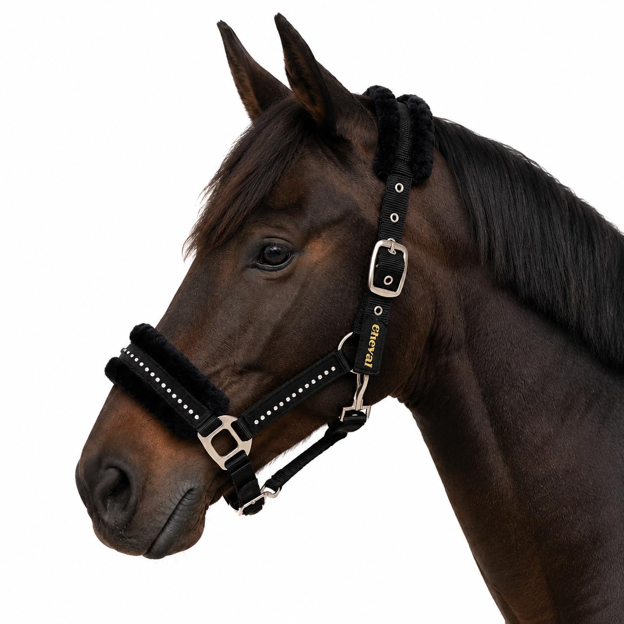 Halfter für Pferde mit Glitzer Steinen, Fell Halfter Pferd in schwarz mit Strass, 2-Fach verstellbar (Schwarz, Shetland Pony (Shetty))