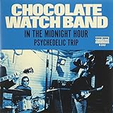 chocolate watch band baby blue Ships in Certified Frustration-Free Packaging